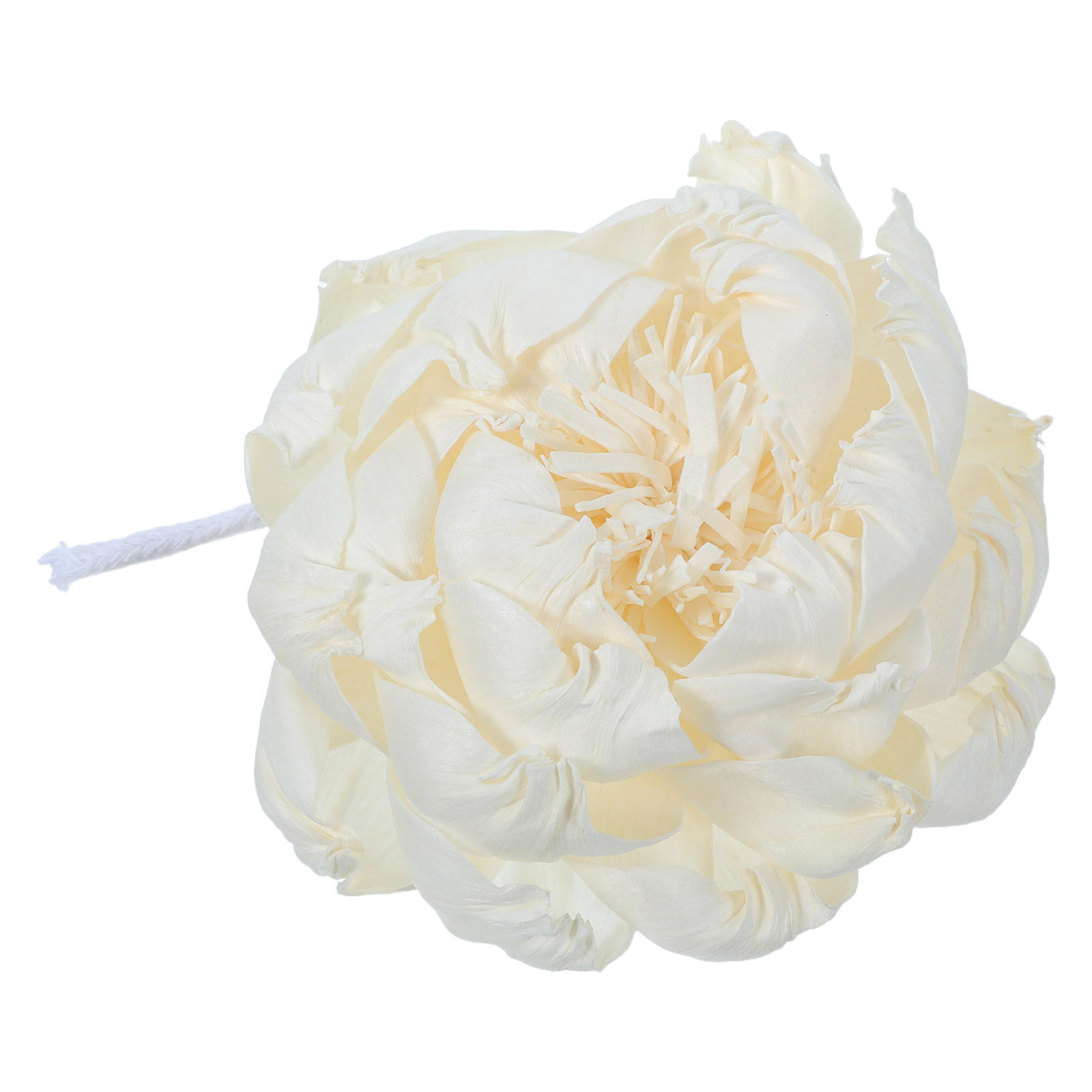 Peony Head Fragrance Diffuser  - Home Fragrance Oil Diffuser review and price